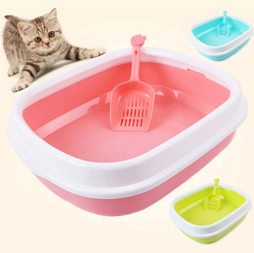 Litter Box Local big