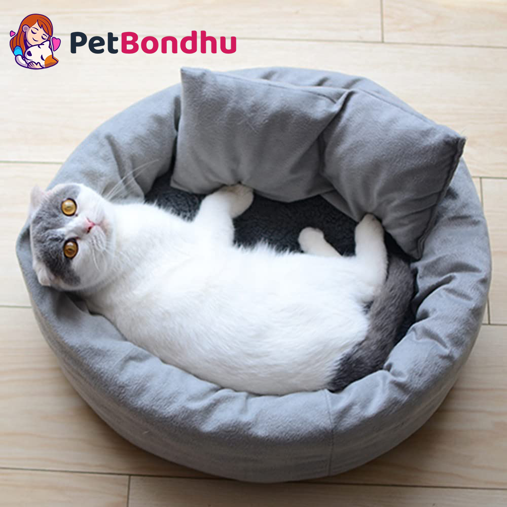 Cat Bed Cushion Type Small